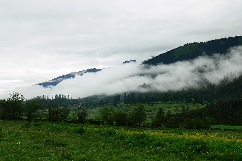 p1210733.jpg