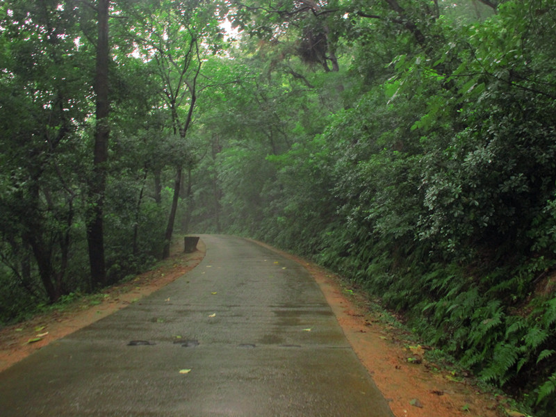 20120714ĥɽͽ 017_.jpg