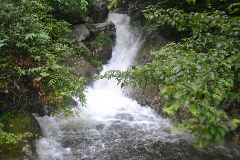 dsc_0693.jpg
