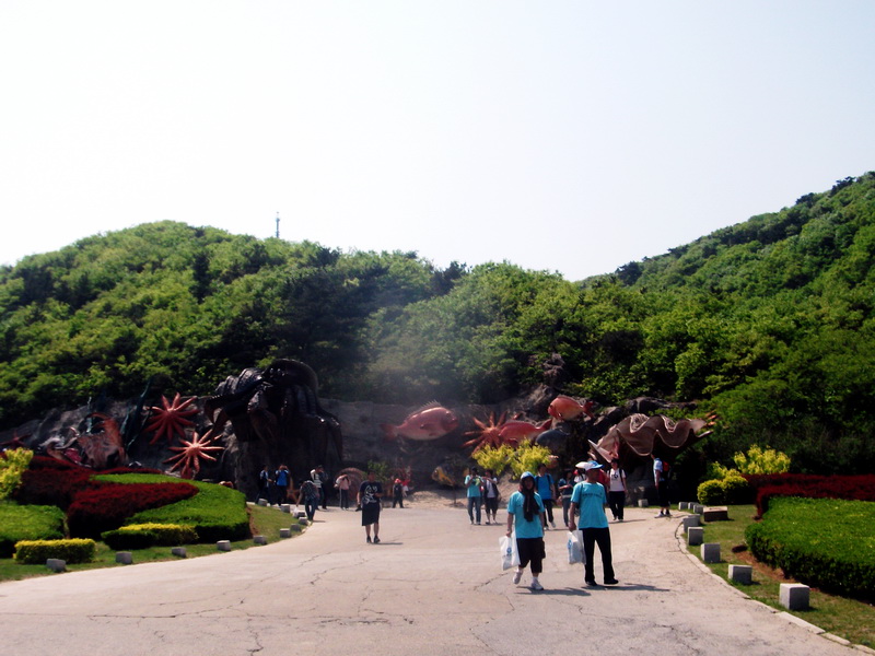 dscf0538.jpg