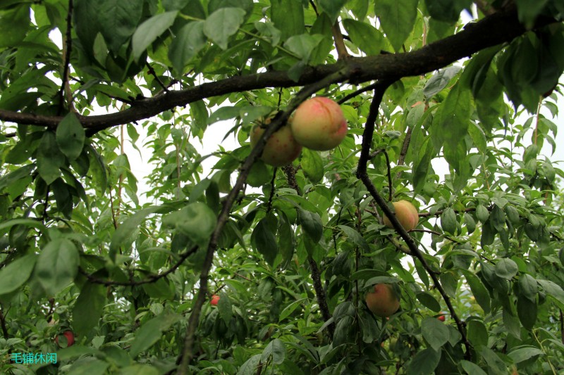 conew_img_9919.jpg