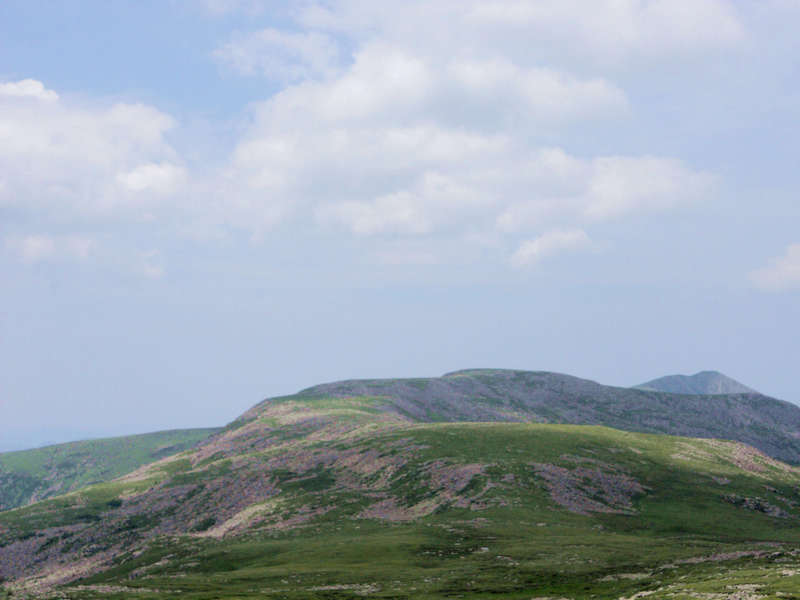 ۺ 8446.jpg