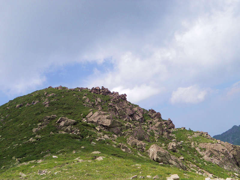 ۺ 8477.jpg