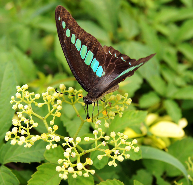 dsc01537_.jpg