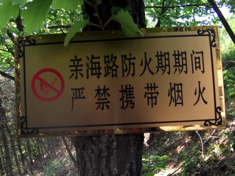 dscf0554.jpg