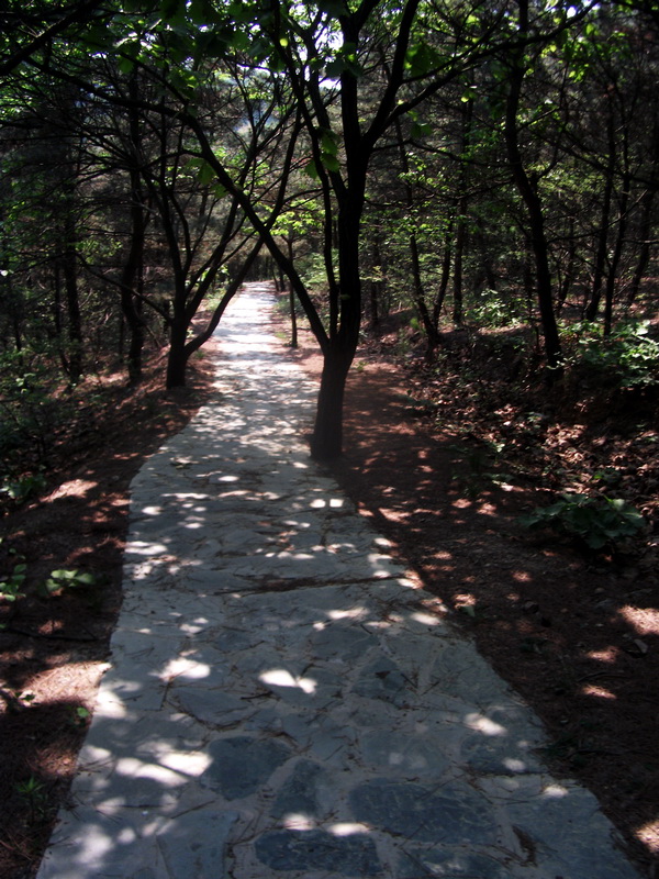 dscf0555.jpg