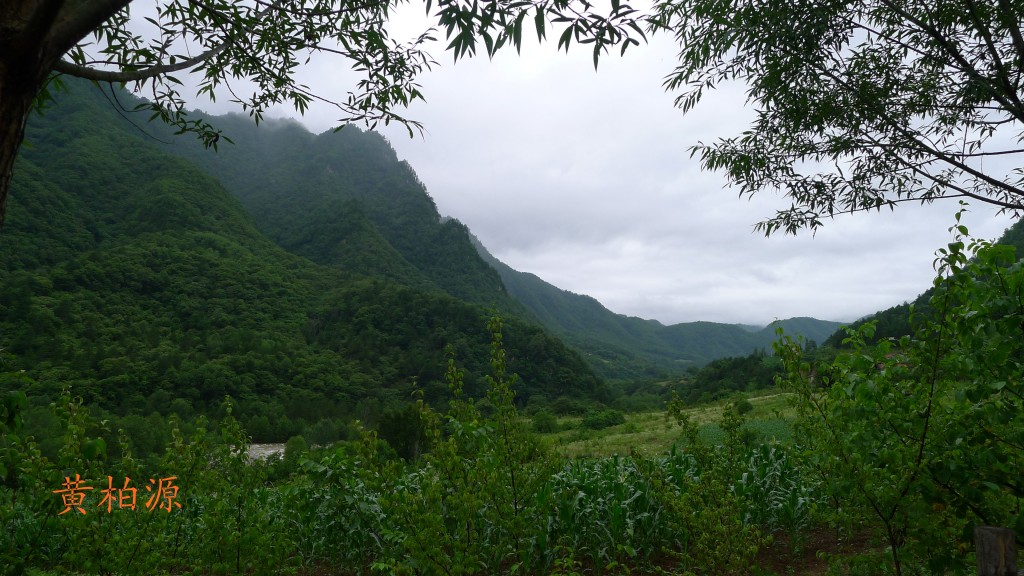 l1000398~1.jpg