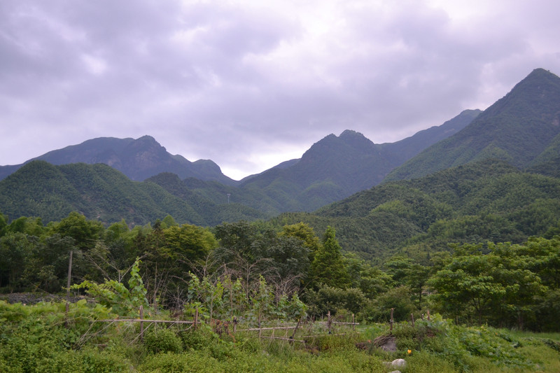 dsc_0182.jpg