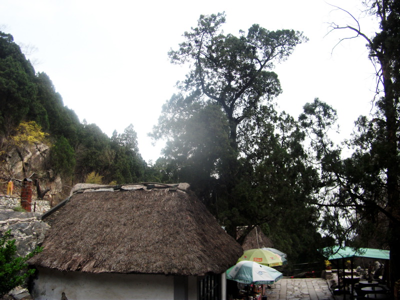 dscf0571.jpg