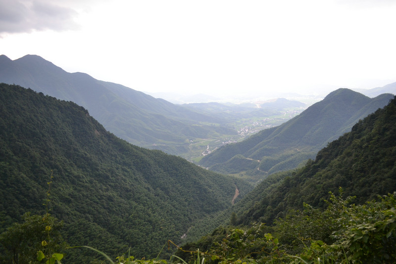 dsc_0205.jpg