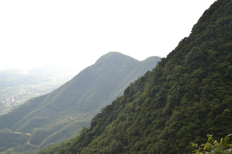 dsc_0208.jpg
