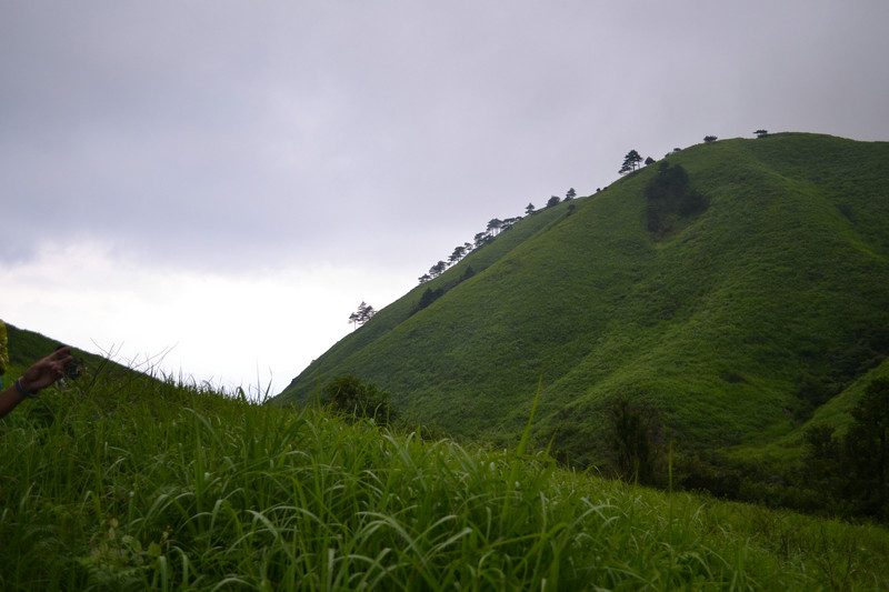 dsc_0265.jpg