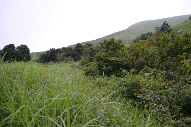 dsc_0266.jpg