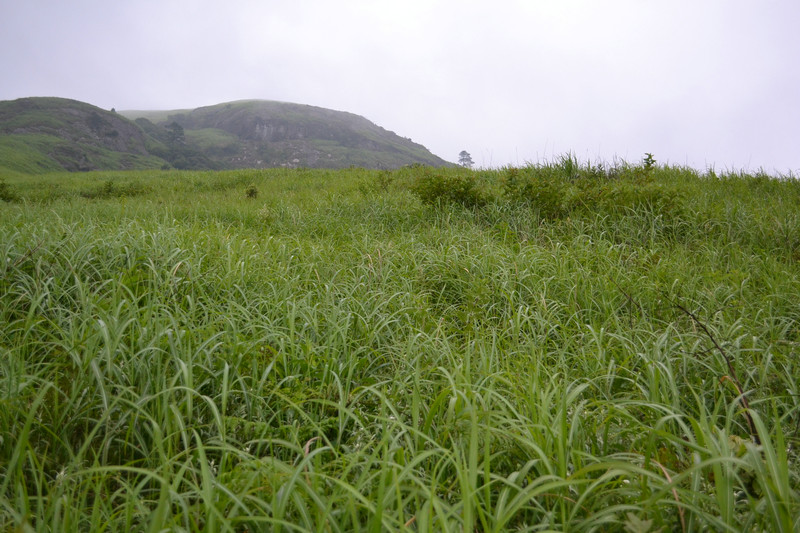 dsc_0256.jpg