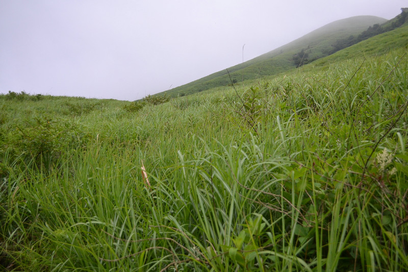 dsc_0258.jpg
