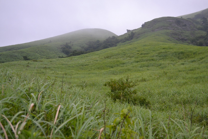dsc_0263.jpg