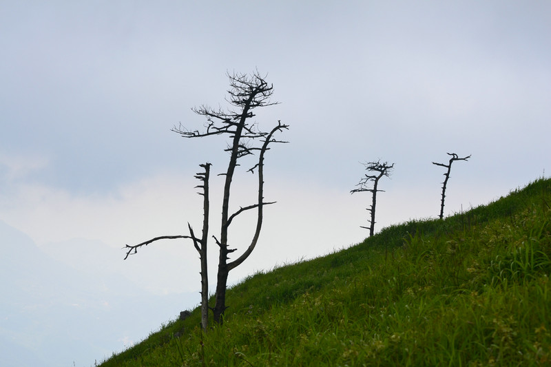 dsc_0468.jpg
