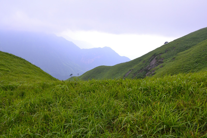 dsc_0473.jpg