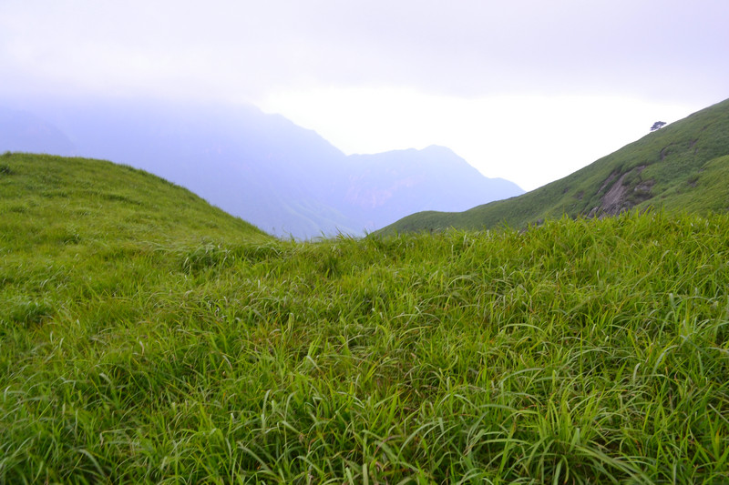 dsc_0474.jpg