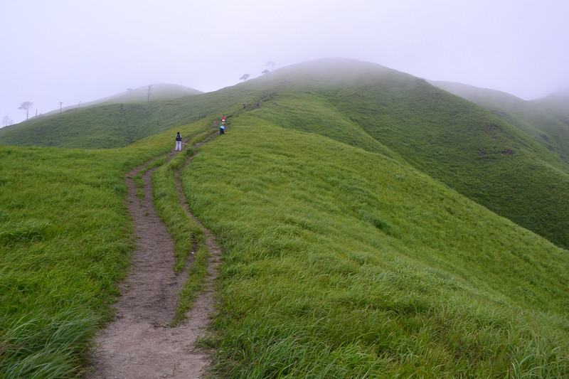 dsc_0477.jpg