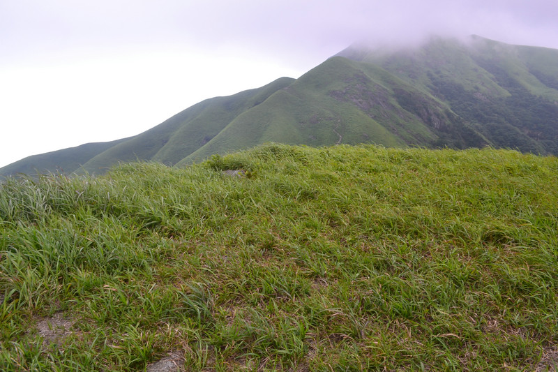 dsc_0487.jpg
