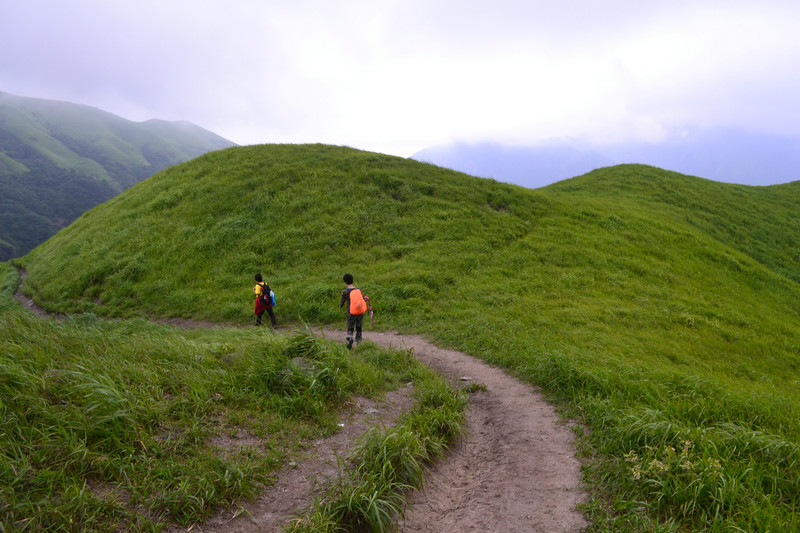 dsc_0488.jpg