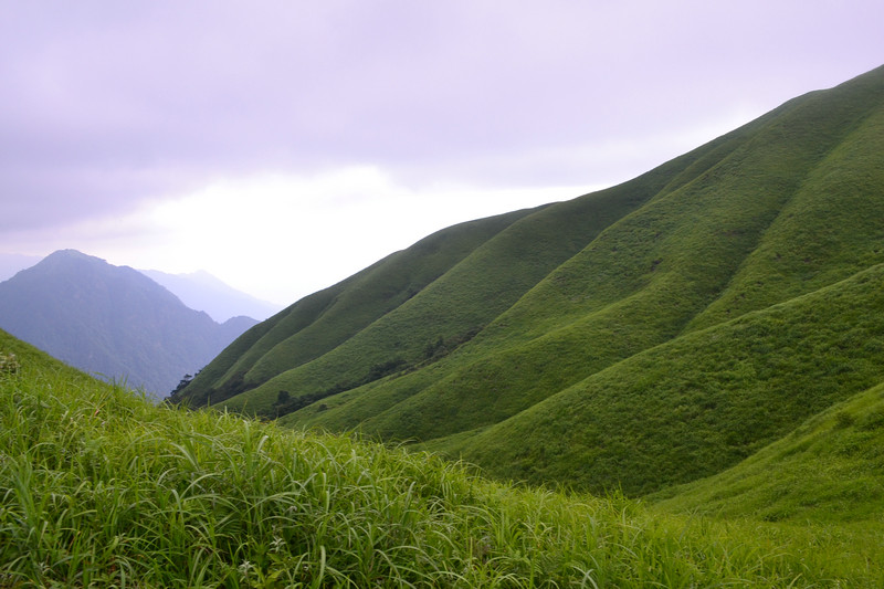 dsc_0499.jpg