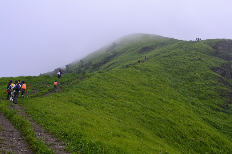 dsc_0517.jpg