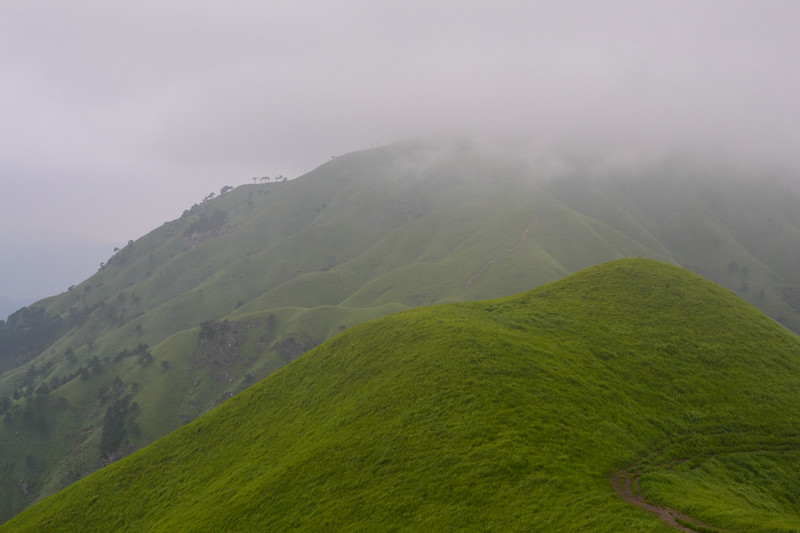 dsc_0519.jpg