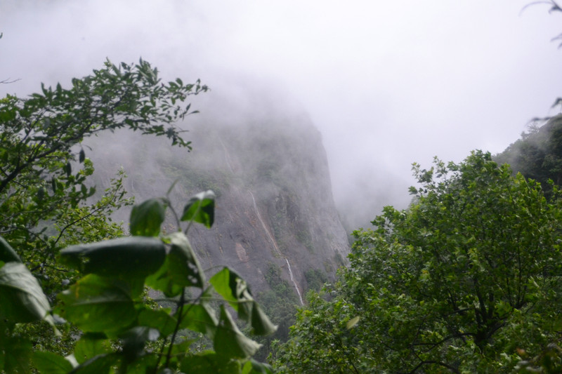 dsc_0618.jpg