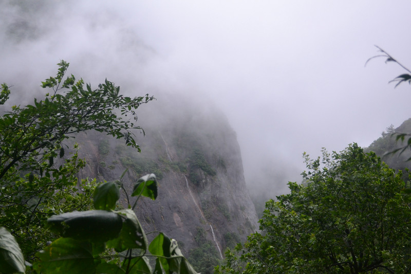dsc_0619.jpg