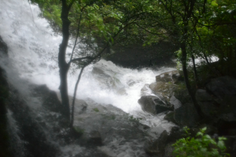 dsc_0650.jpg