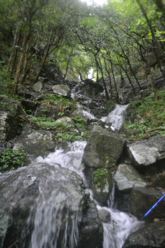 dsc_0661.jpg