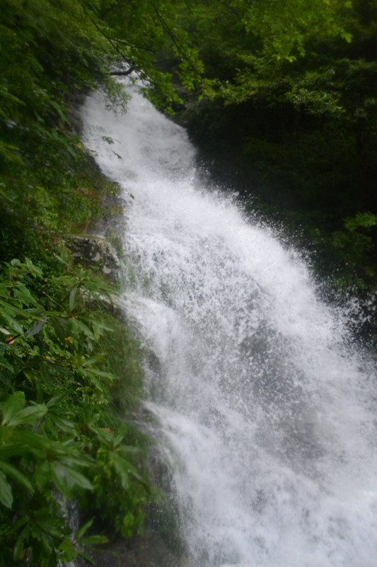 dsc_0662.jpg