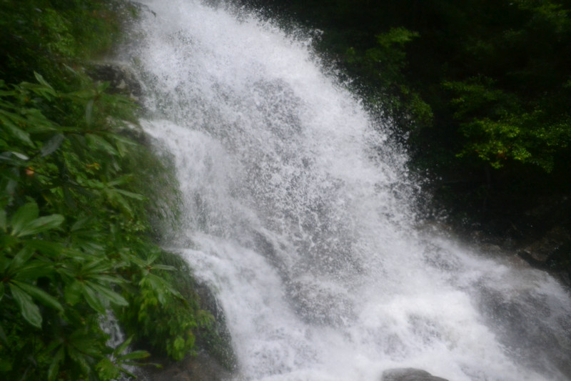 dsc_0663.jpg