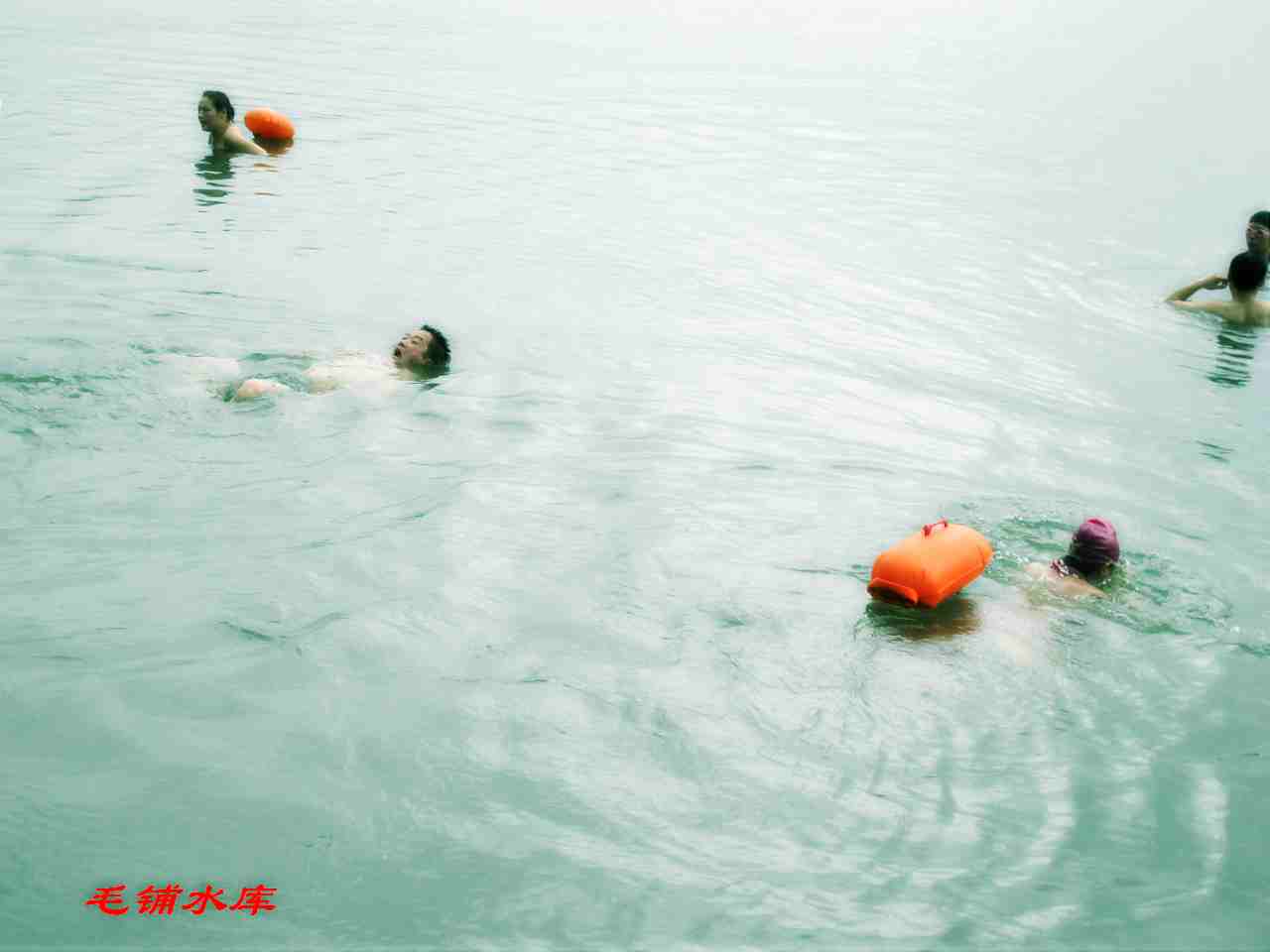 7y 041.jpg