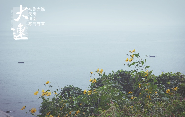 2011dalian09_001.jpg