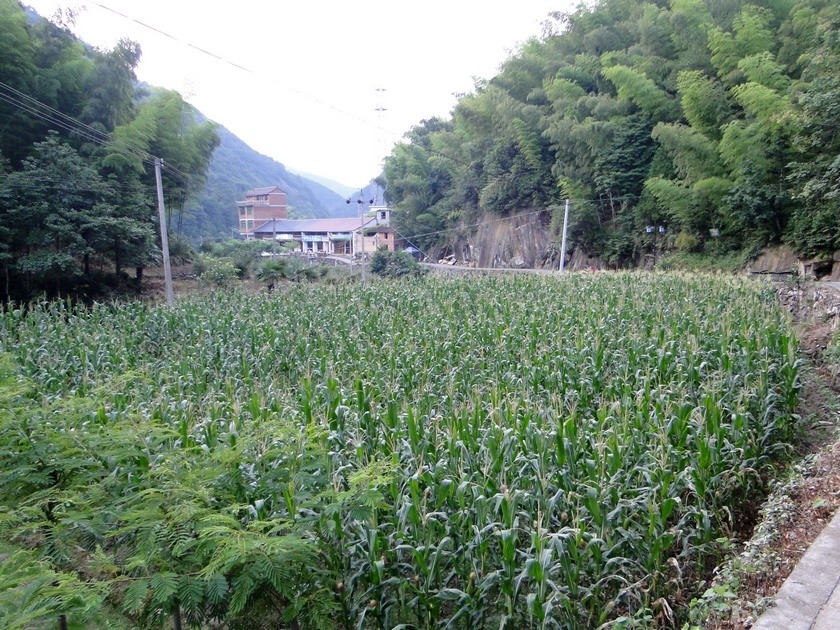 羰  (67).jpg