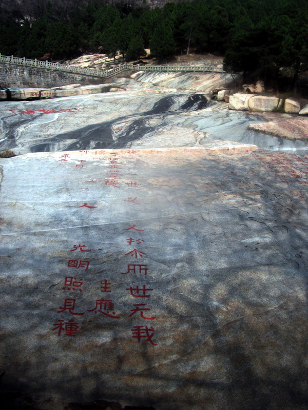 dscf0604.jpg