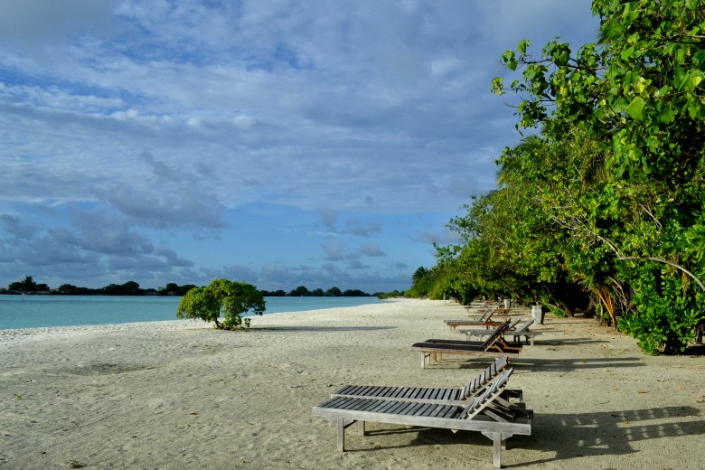 abc 648_conew1.jpg