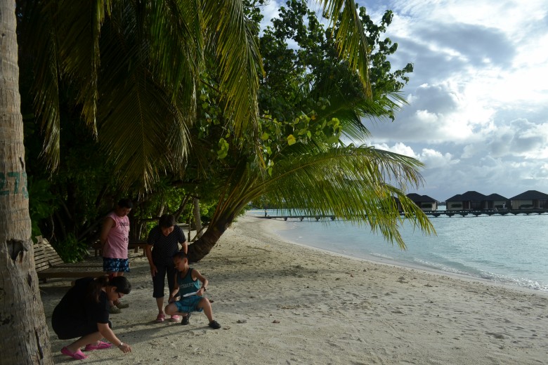 abc 649_conew1.jpg