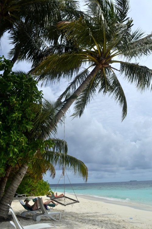abc 778_conew1.jpg