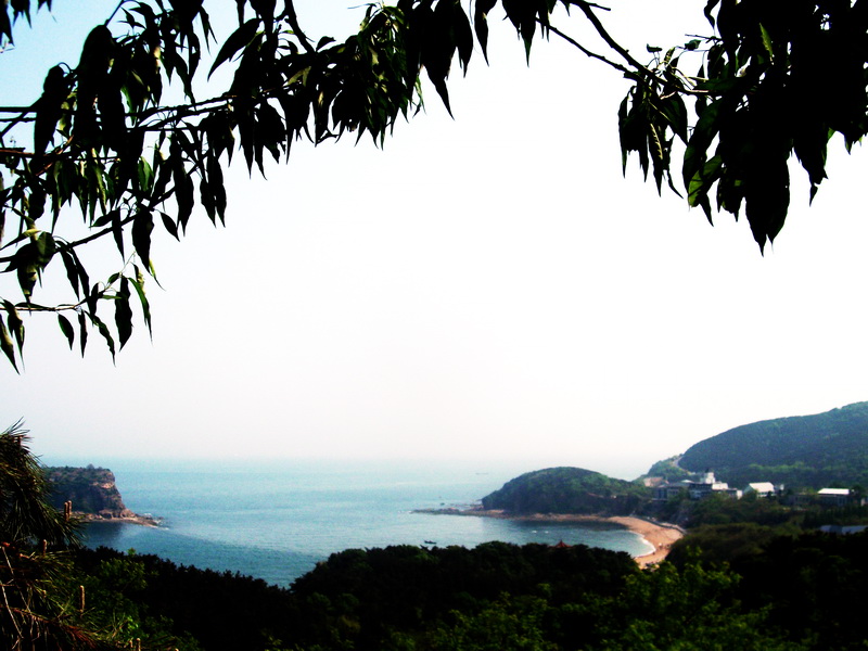 dscf0584.jpg
