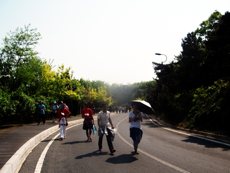 dscf0590.jpg