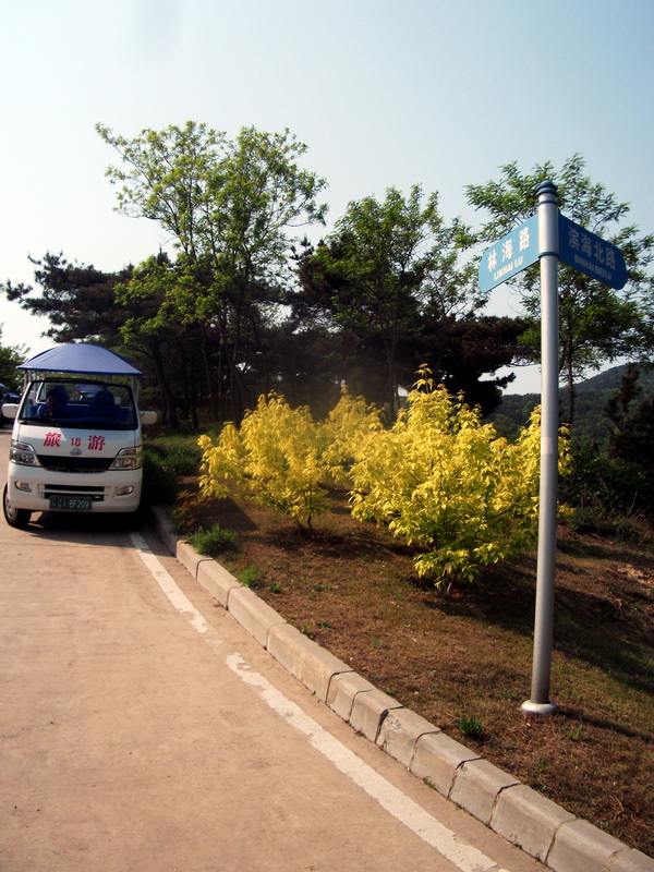 dscf0593.jpg