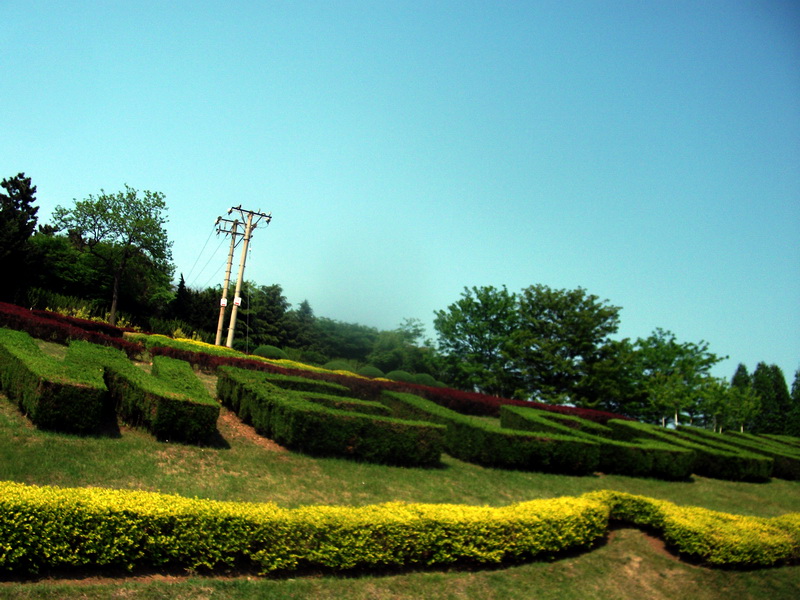 dscf0602.jpg