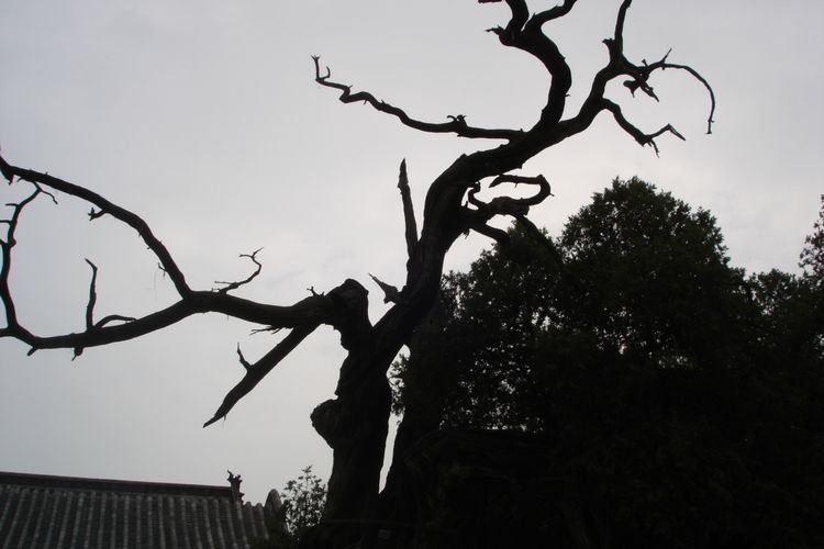 dsc08123.jpg