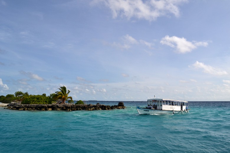 abc 819_conew1.jpg
