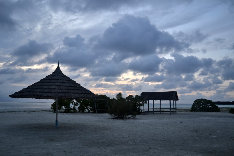 abc 849_conew1.jpg