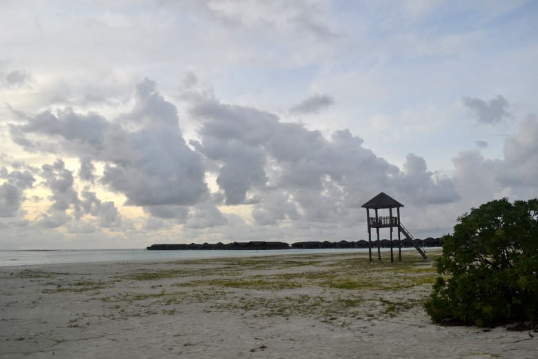 abc 865_conew1.jpg